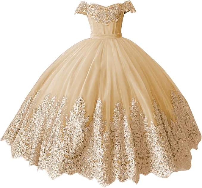 Flower Girl Dress Princess Applique Pageant Dresses Kids First Communion Dress Birthday Party Formal Prom Ball Gowns Girls Gidiondress